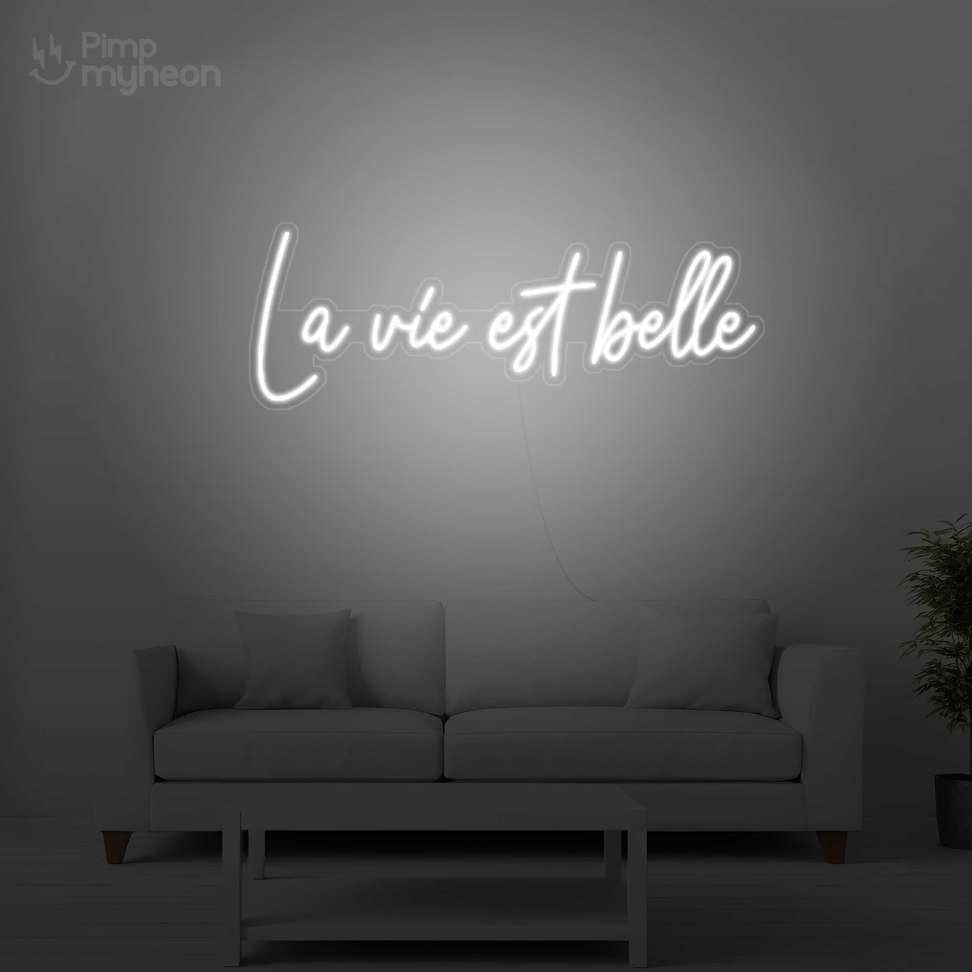 Neon La Vie Est Belle